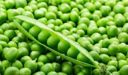 二豆娱乐吃瓜,揭秘娱乐圈吃瓜背后的真相