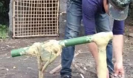 死水爆料视频大全最新下载,最新视频大全下载全攻略