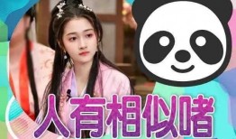 娱乐吃瓜官方爆料视频,官方爆料视频带你直击幕后真相